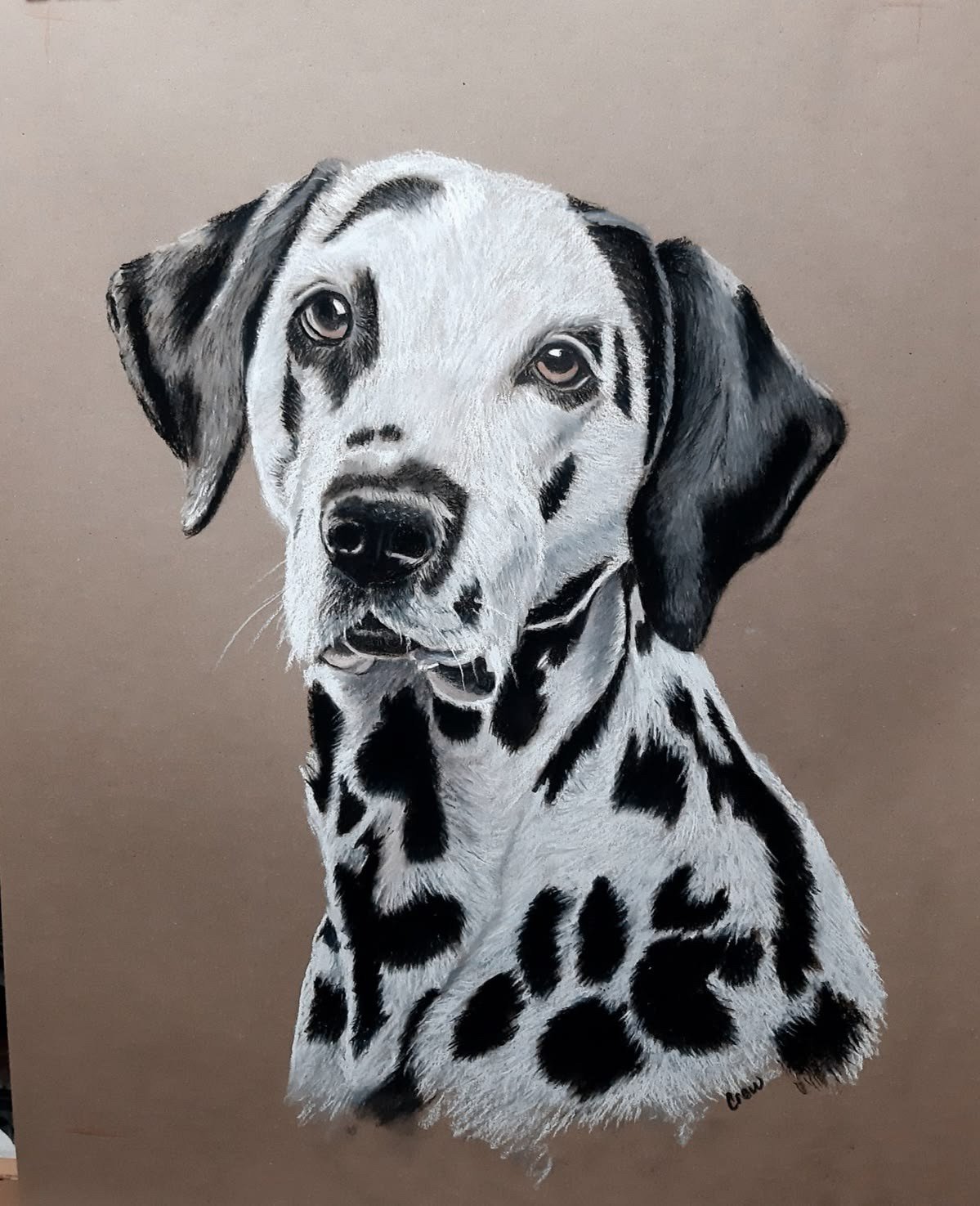 Pongo / soft pastel