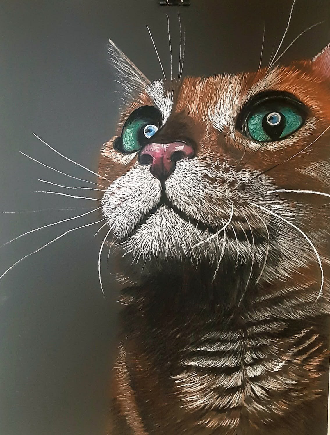 kedi soft pastel